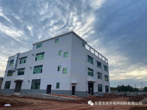 聚力共贏 再筑新章丨東升地坪年產10萬噸環保建筑涂料化工廠即將投產