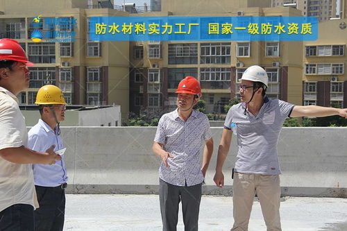 萍鄉jbs聚合物改性瀝青橋面防水涂料工廠價格